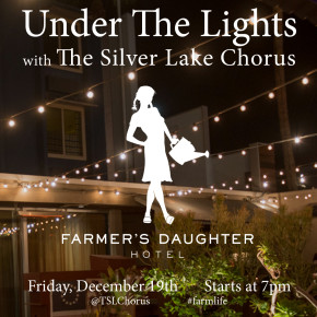 Next Show: Under the Lights at Farmer's Daughter
